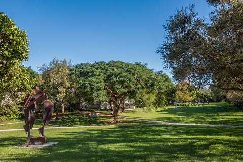 campus green trees