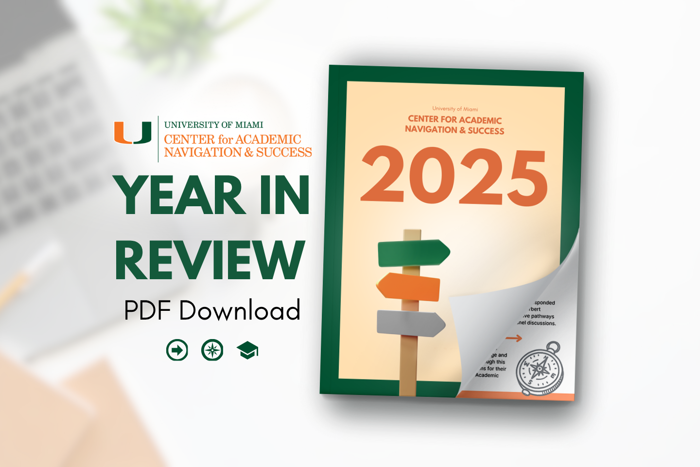 year in review PDF download image