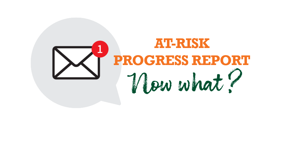 At Risk Progress Report - Now what?